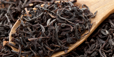 Black Tea – tannin-rich pigment depth in NILINI Dark Brown