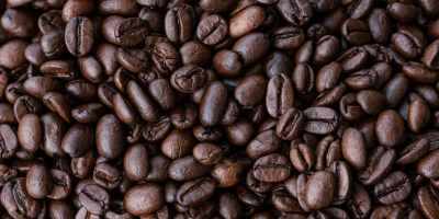 Coffee Arabica – warm brown pigment herb in NILINI Dark Brown