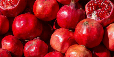 Pomegranate Rind – follicle strengthener in NILINI Dark Brown